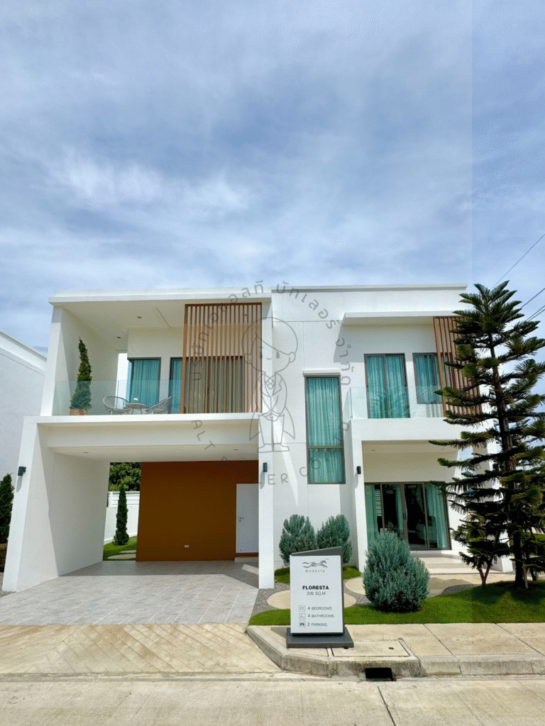 Modesta-1