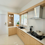 Modesta-6
