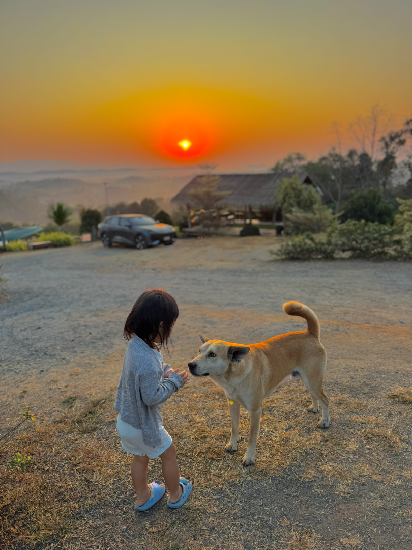 Hugdoi 日出 山霧
